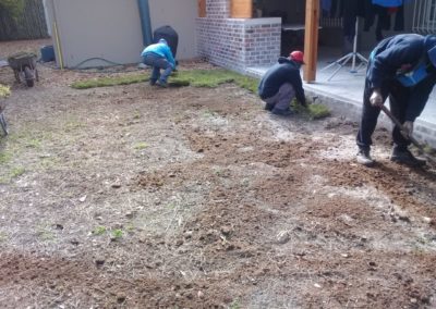 Aj_lawns Lawn Grass Landscaping