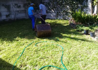 Aj_lawns Lawn Grass Landscaping